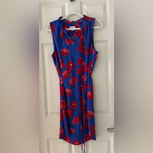 Market & Spruce Dresses & Skirts - Market & Spruce Jeanie Ruffle Detail Dress-sleeveless red/blue floral size L